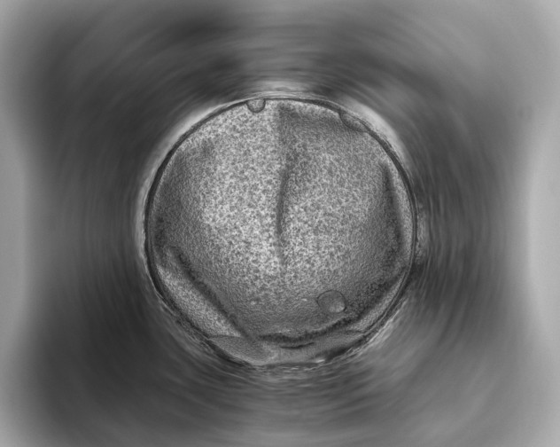 X0000093491435200711020943