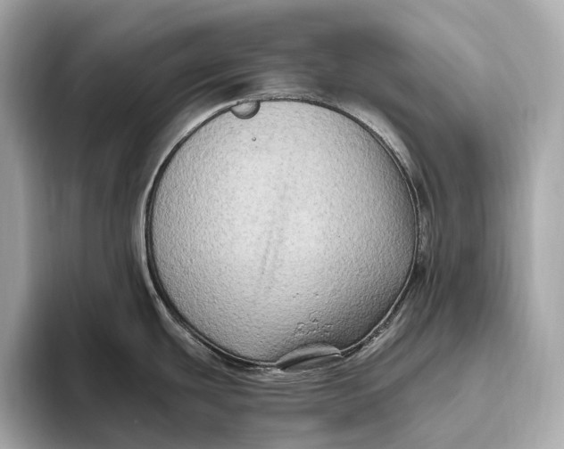 X0000093491439200711020943