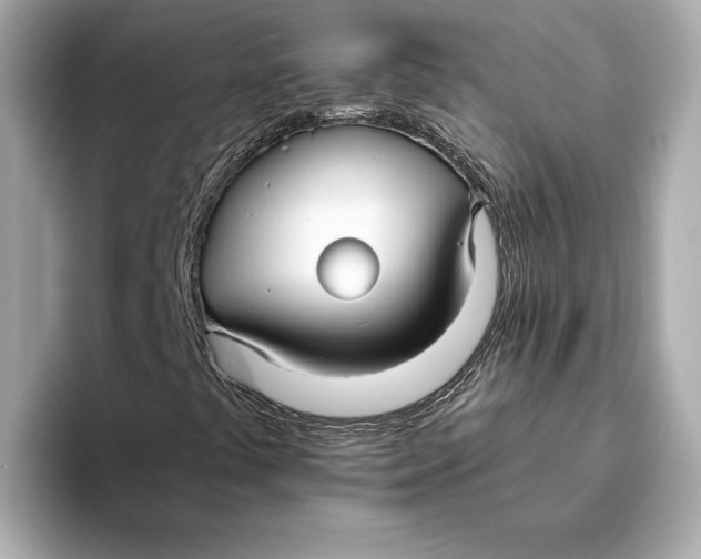 X0000093491441200711020943