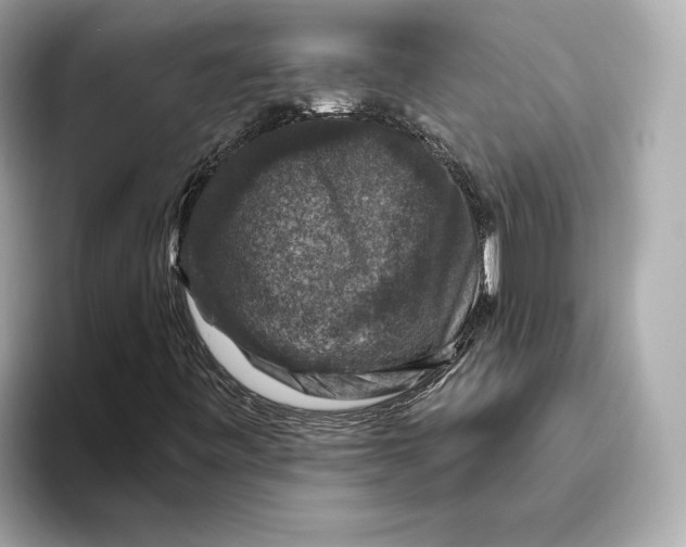 X0000093491443200711020943