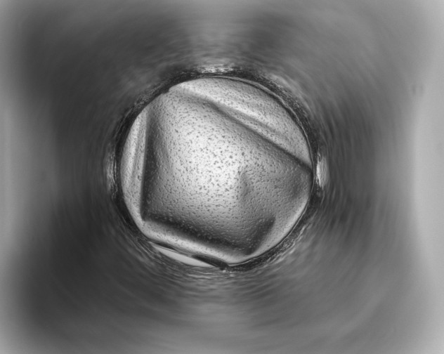 X0000093491444200711020943