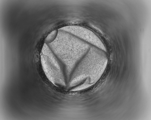 X0000093491447200711020943