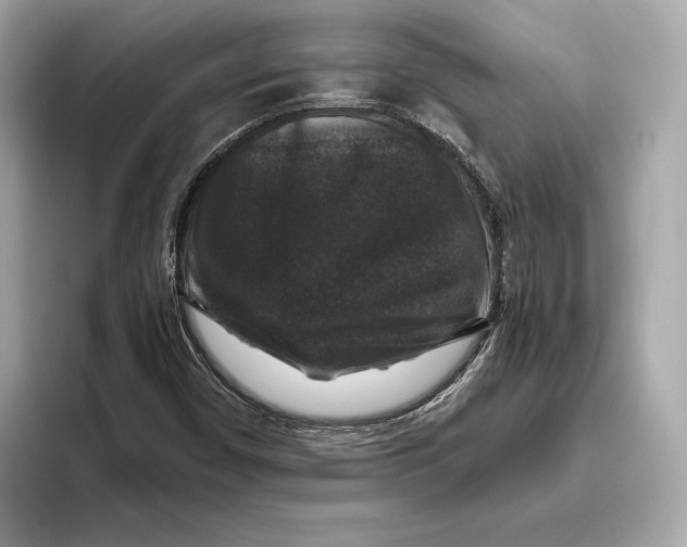 X0000093491450200711020943