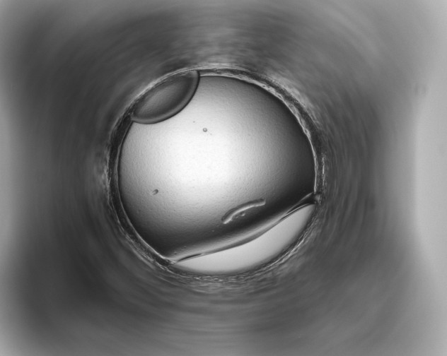 X0000093491452200711020943