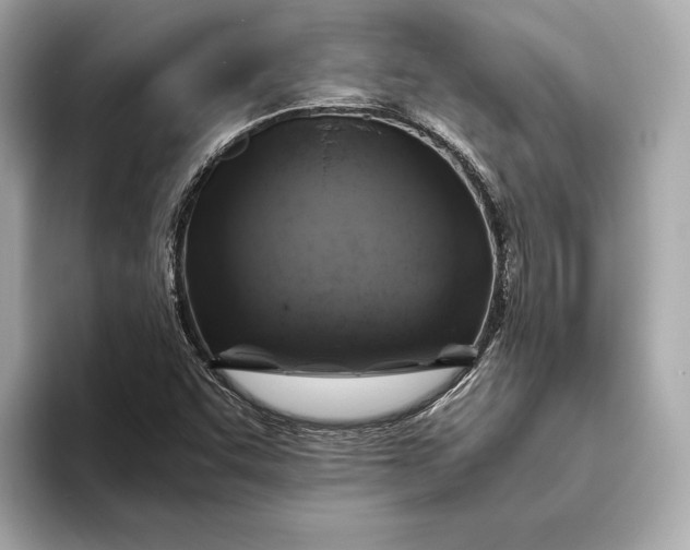 X0000093491455200711020943