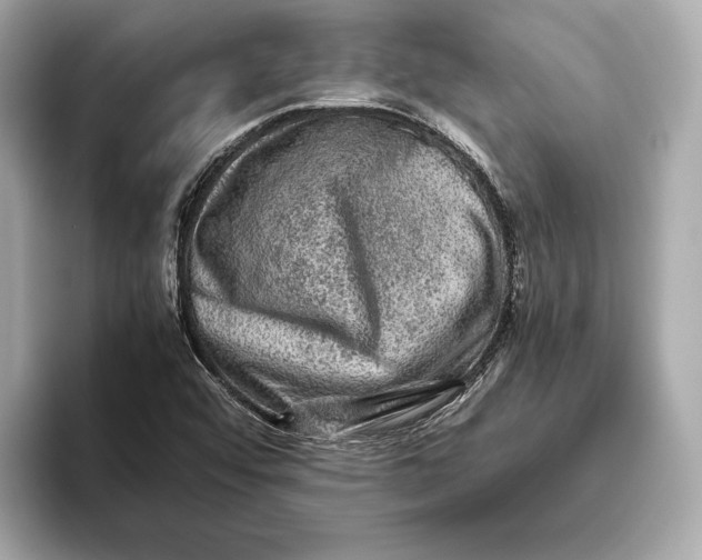 X0000093491456200711020943