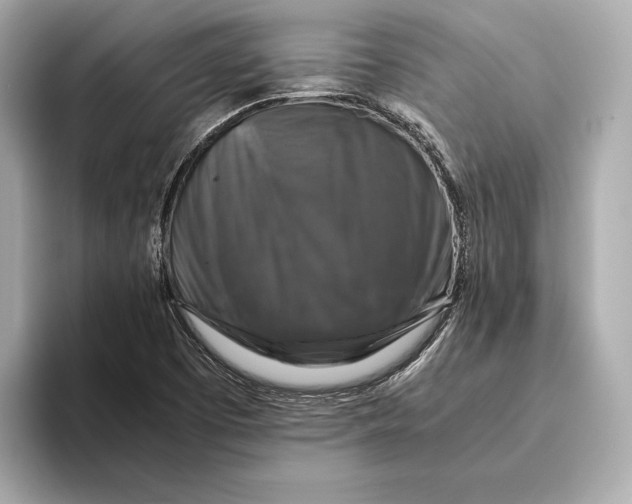 X0000093491457200711020943