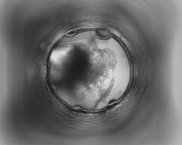 X0000093491459200711020943