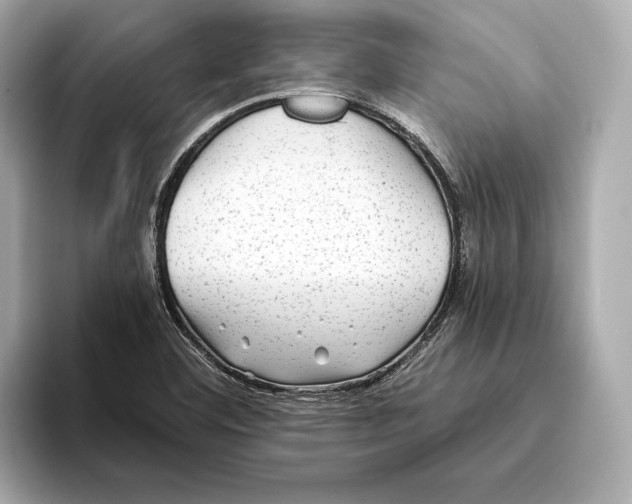 X0000093491460200711020943