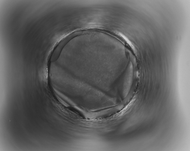 X0000093491461200711020943