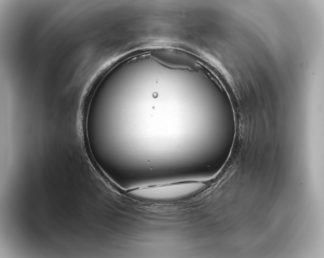 X0000093491464200711020942