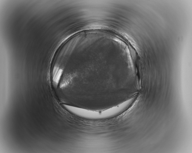 X0000093491465200711020942