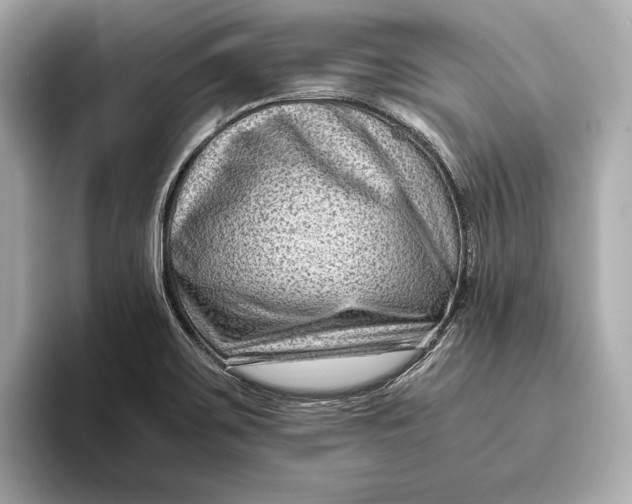 X0000093491467200711020942