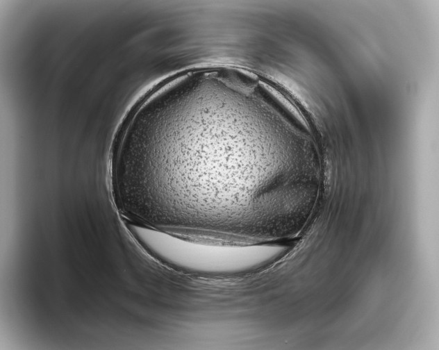 X0000093491468200711020942