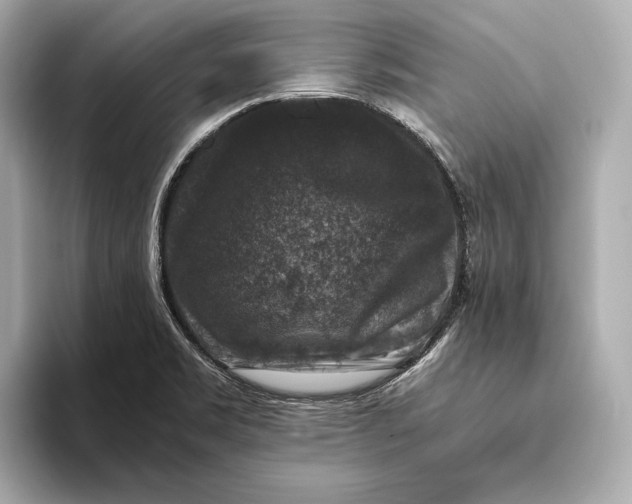 X0000093491469200711020942