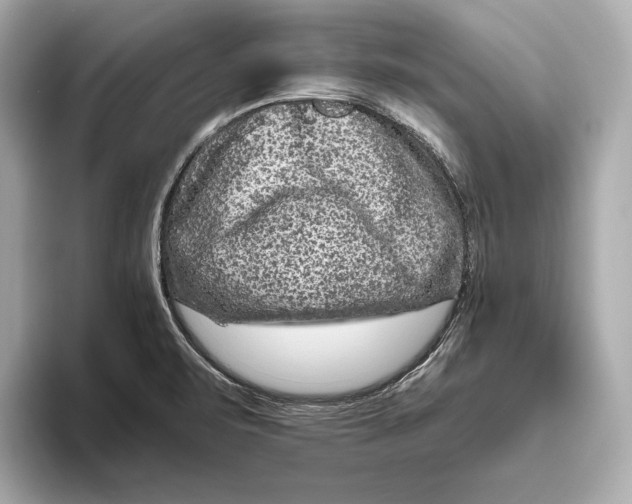 X0000093491471200711020942