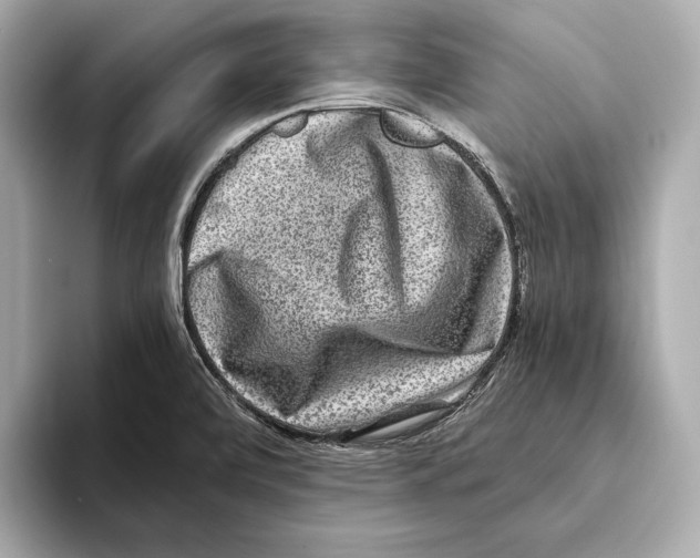 X0000093491472200711020942