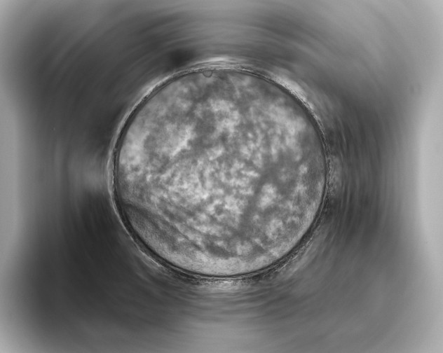 X0000093491474200711020942