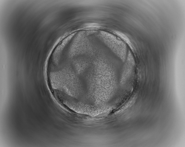 X0000093491475200711020942