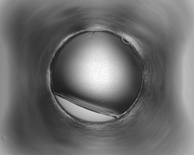 X0000093491476200711020942