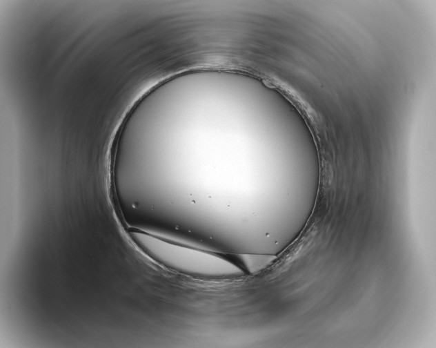 X0000093491479200711020942