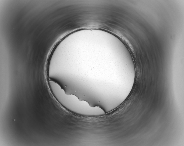 X0000093491480200711020942