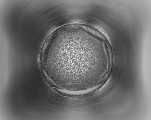 X0000093491481200711020942