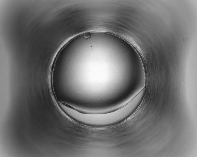 X0000093491484200711020942