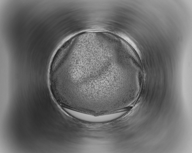 X0000093491485200711020942