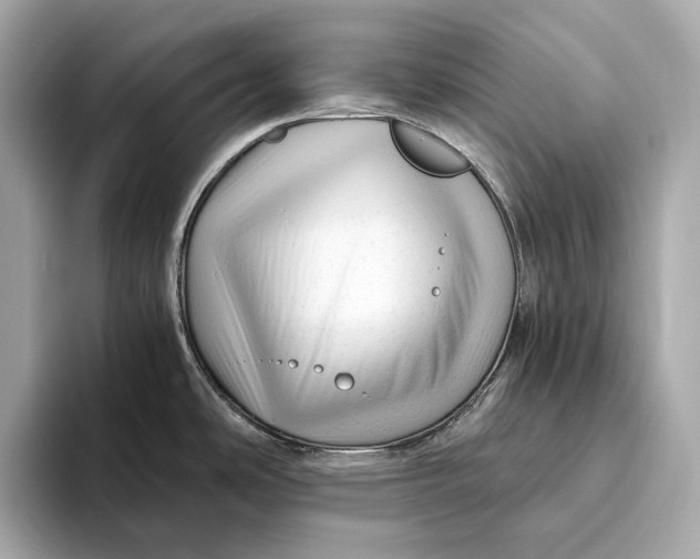 X0000093491486200711020942