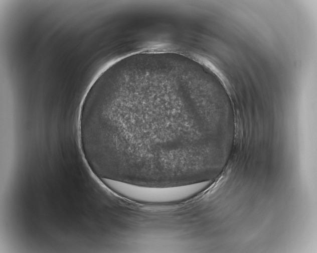 X0000093491487200711020942