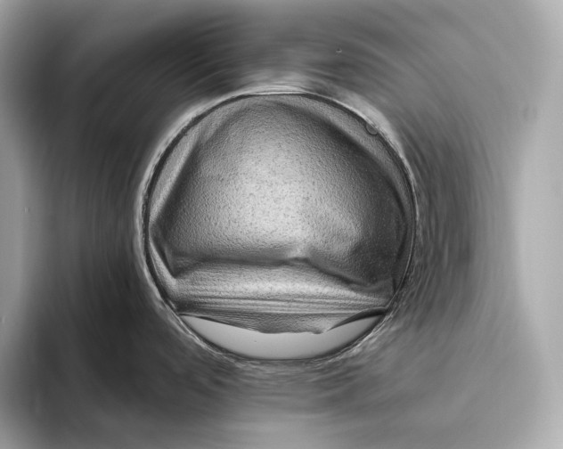 X0000093491488200711020942