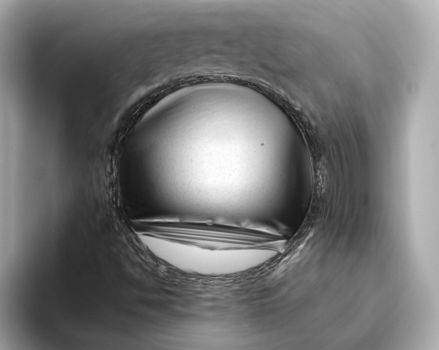 X0000093491494200711020942