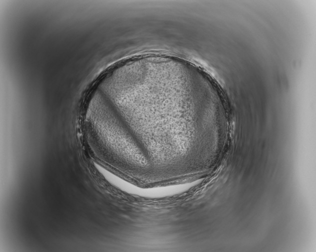 X0000093491496200711020942