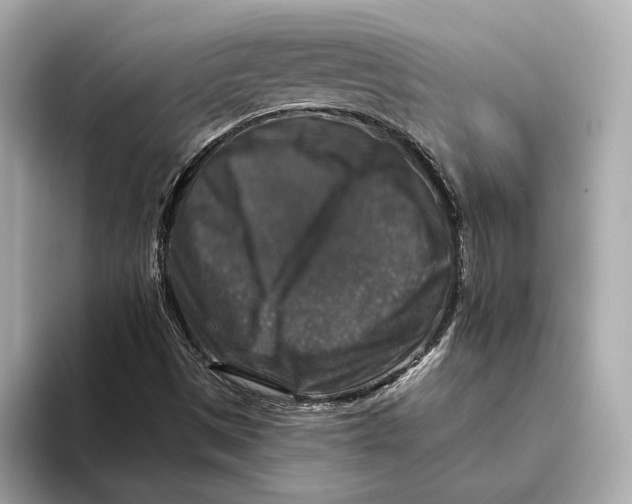 X0000093491497200711020942