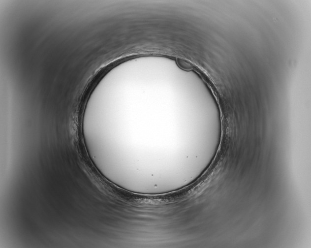 X0000093491499200711020942