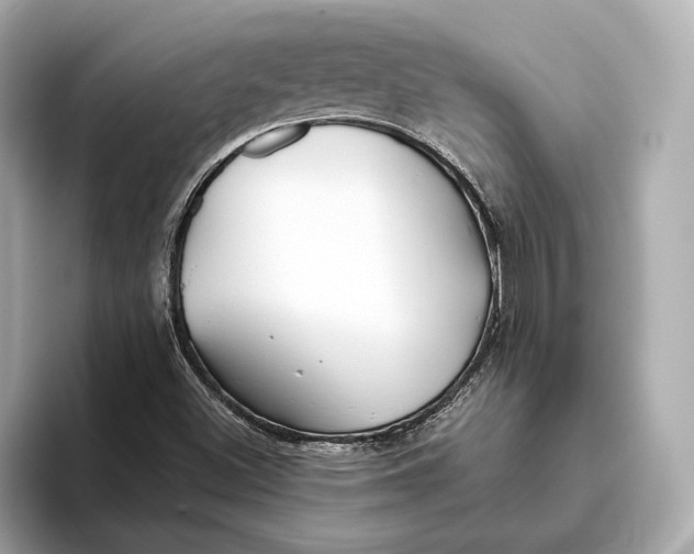 X0000093491500200711020942