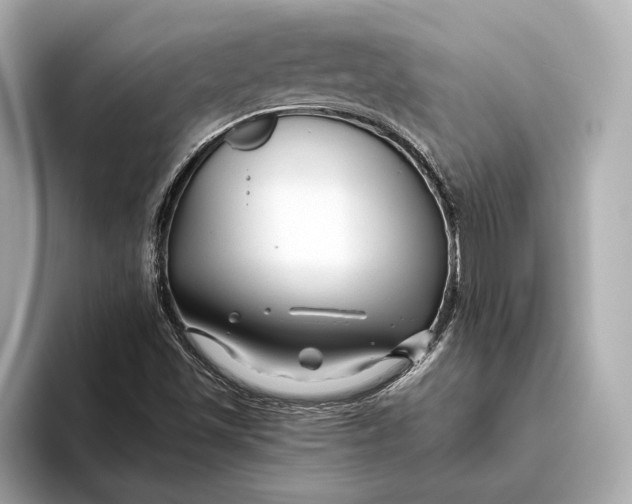 X0000093491501200711020942