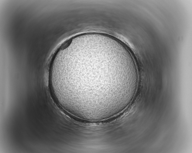 X0000093491504200711020942