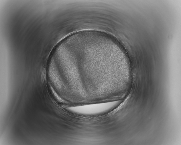 X0000093491505200711020942