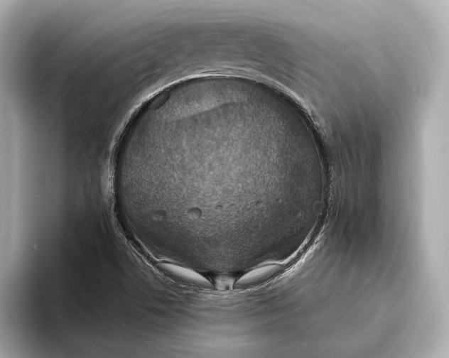 X0000093491506200711020942