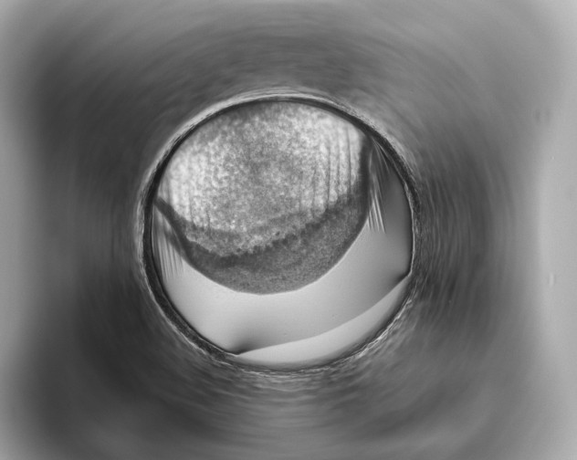 X0000093491508200711020942