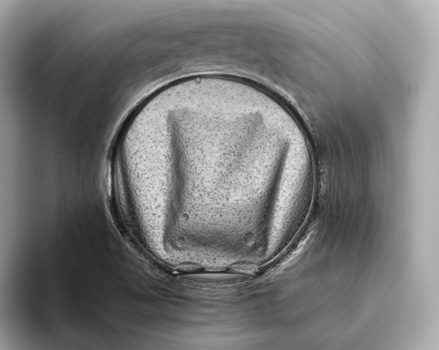 X0000093491509200711020942