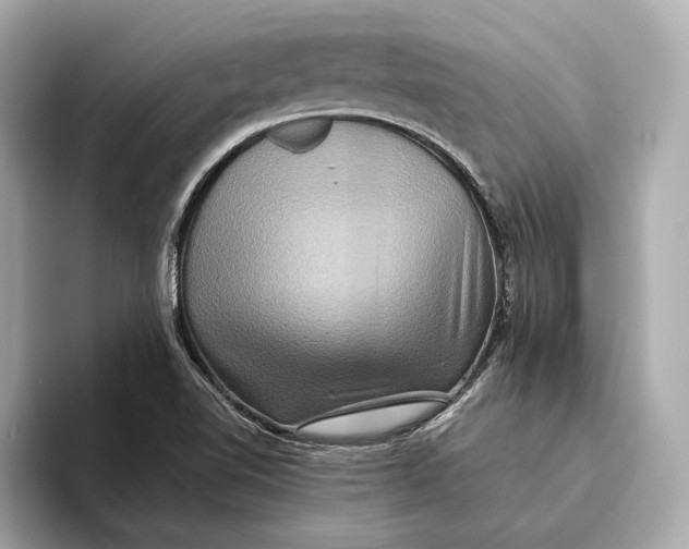 X0000093491510200711020942