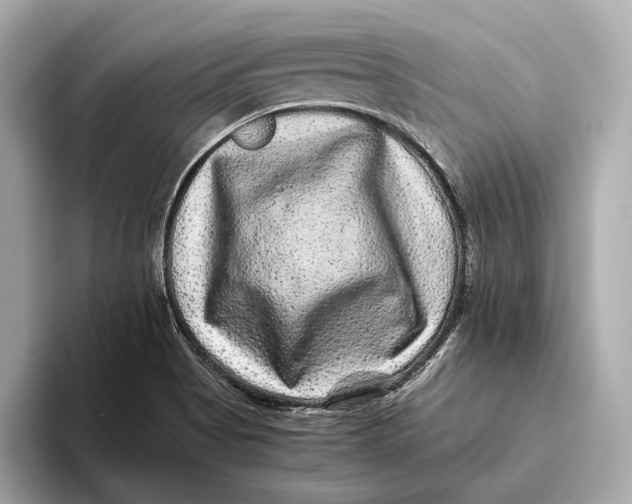 X0000093491513200711020942