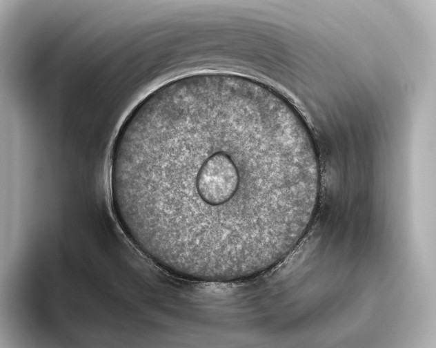 X0000093491514200711020942