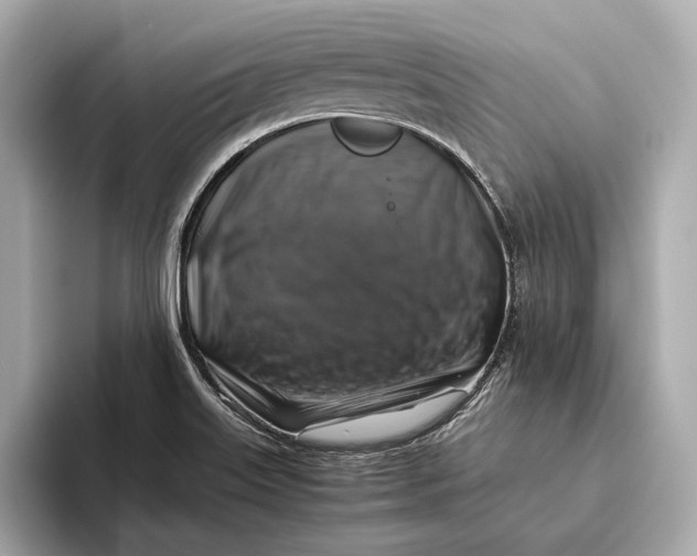 X0000093491515200711020942