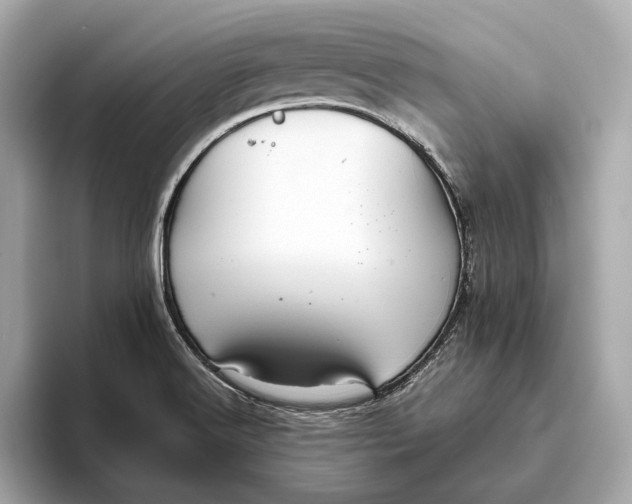 X0000093491516200711020942