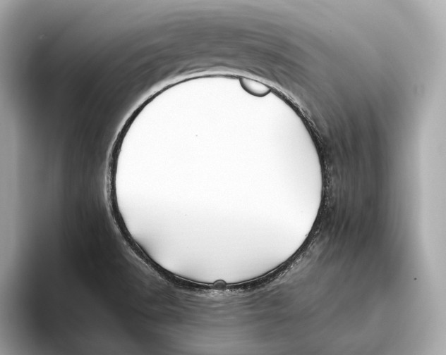 X0000093491518200711020942