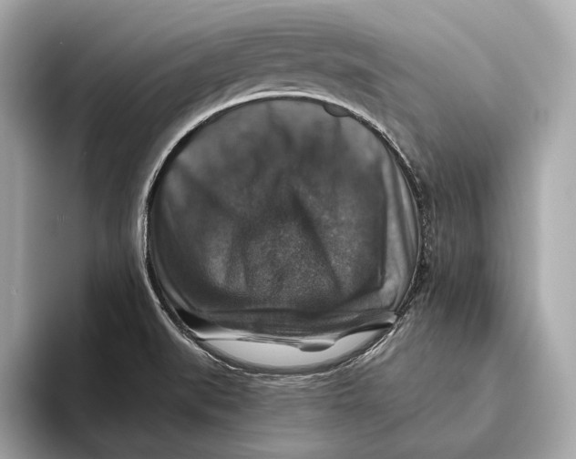 X0000093491519200711020942